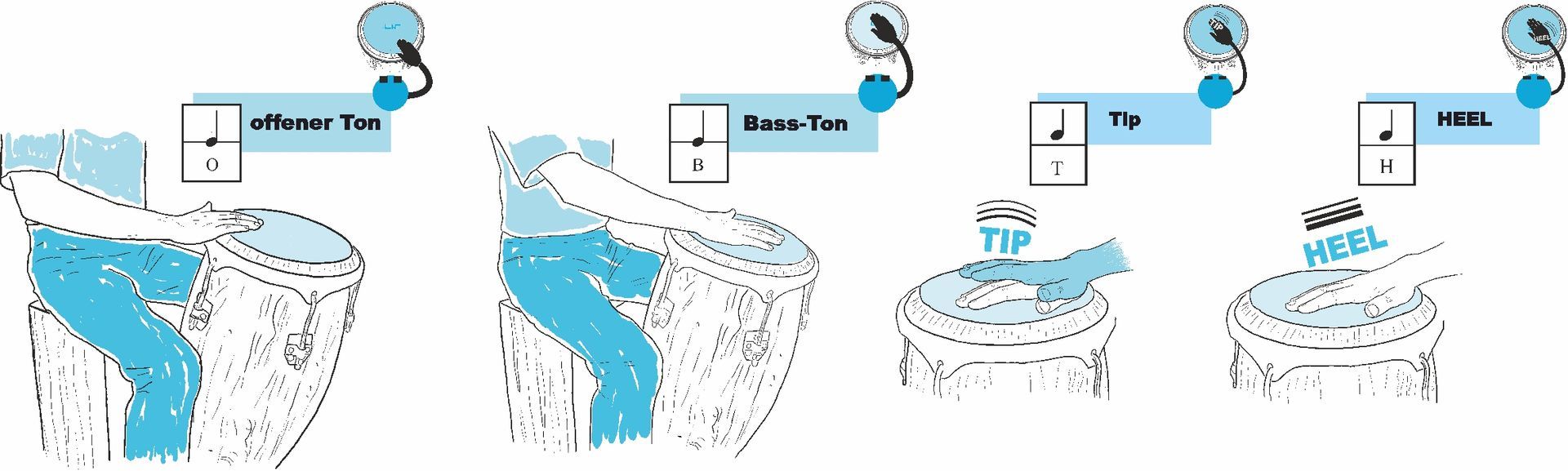 Anschlagsarten auf der Conga Die Anschlagsarten, Bass Ton, offener Ton, Heel und Tip