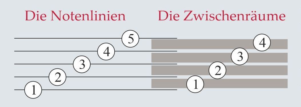 Notensystem mit Linien und Zwischenräumen Das Noten Liniensystem einfach erklärt, Notenlinien und Zwischenräume