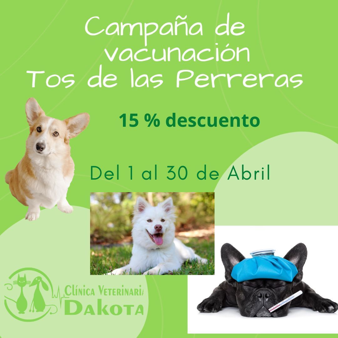 CAMPAÑA VACUNACION TOS DE PERRERAS RINOTRAQUEITIS VACUNAS PERROS