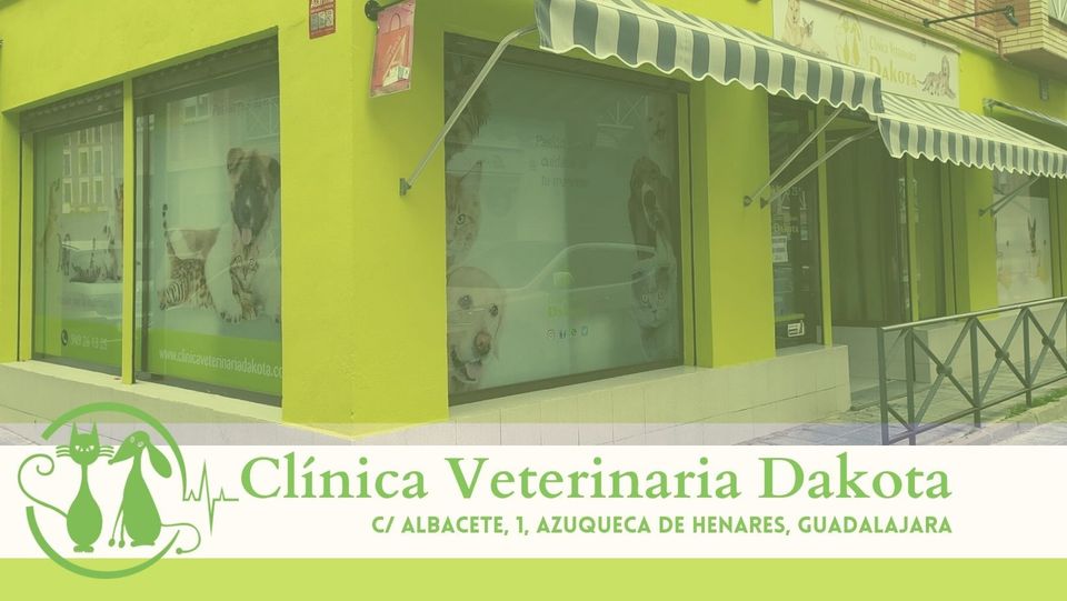 Clinica veterinaria Azuqueca de Henares Guadalajara