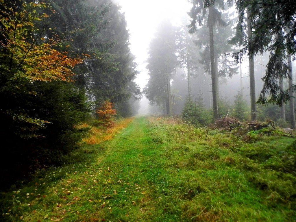 Hunsrück-Naheland Hunsrück-Naheland