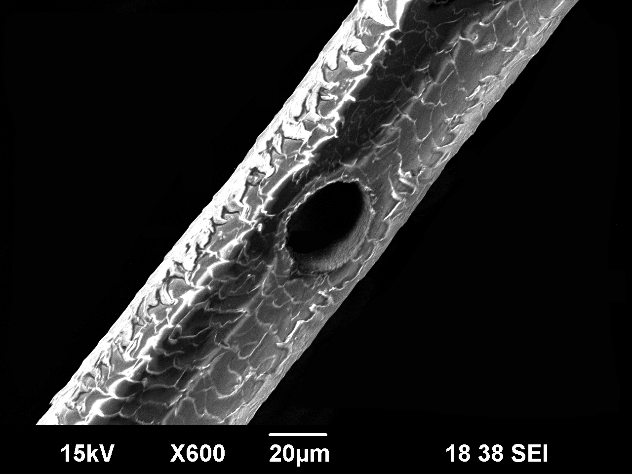 Laser microdrilling in a human hair