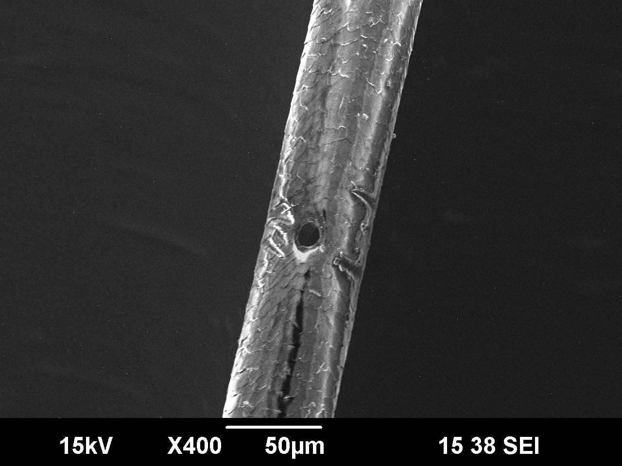 Laser drilled hole in a human hair