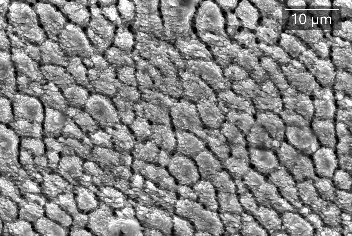 Surface structure when black marking Surface structure when black marking with the ultrashort pulse laser