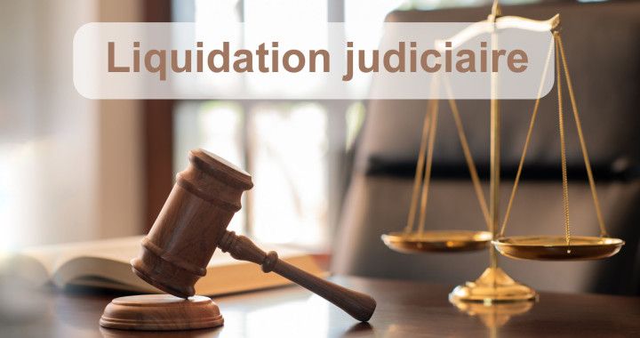 archivage de liquidations judiciaires LNSE