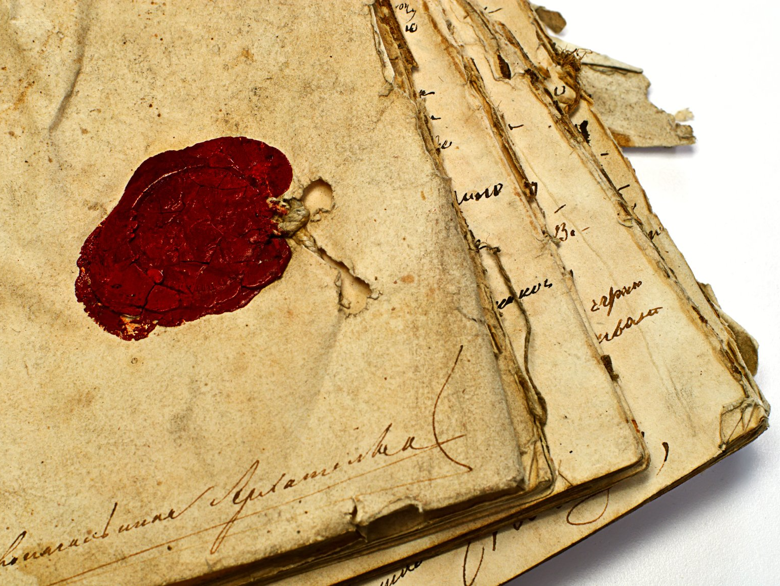 numérisation patrimoniale parchemins numérisation patrimoniale parchemins