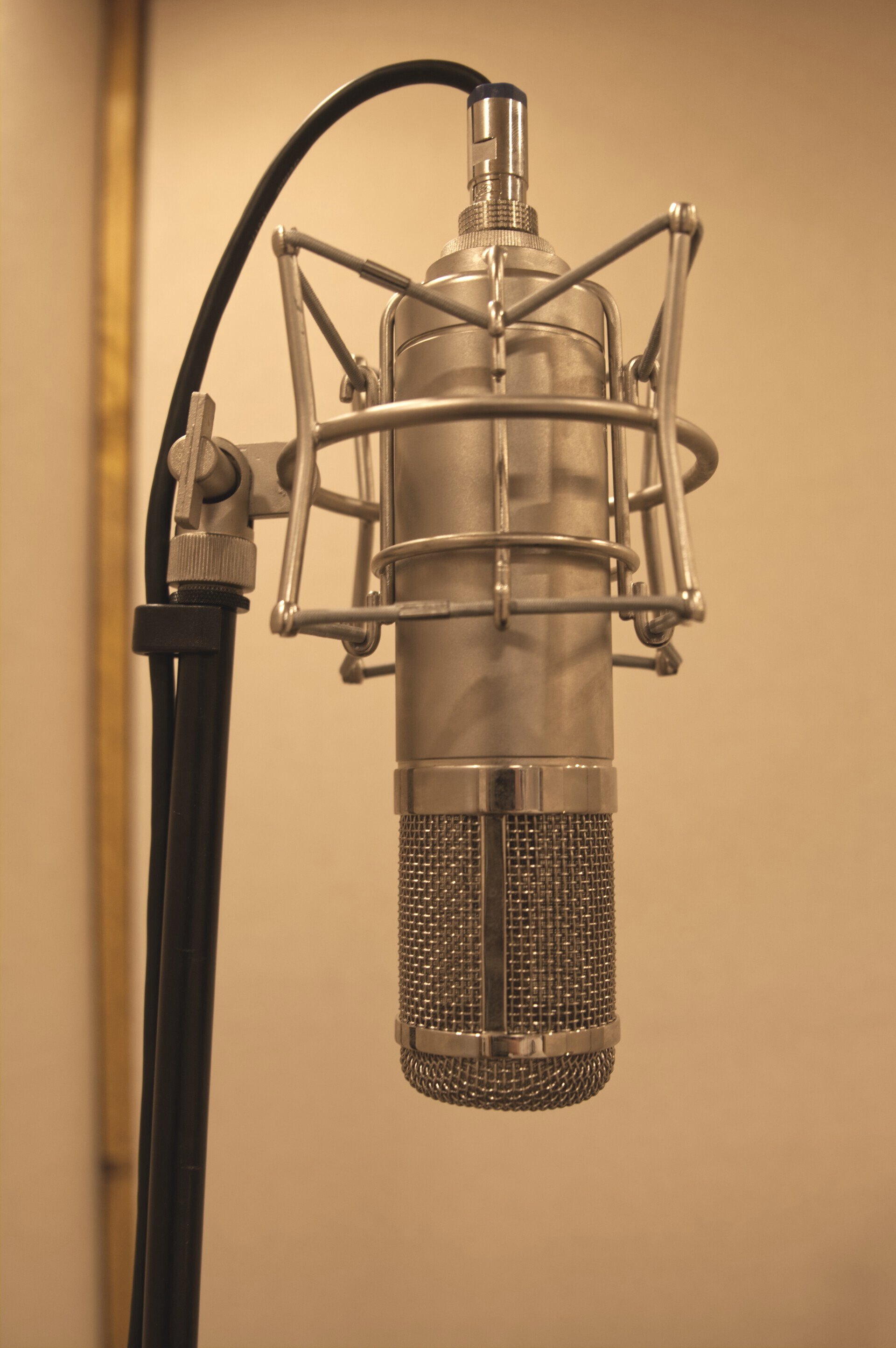 Peluso SE 2247; Peluso LE 2247; Vocal Recording; Gesangsaufnahmen; Vocals; Vocal Booth; Gesangskabine; Power Supply; Sprach Aufnahmen