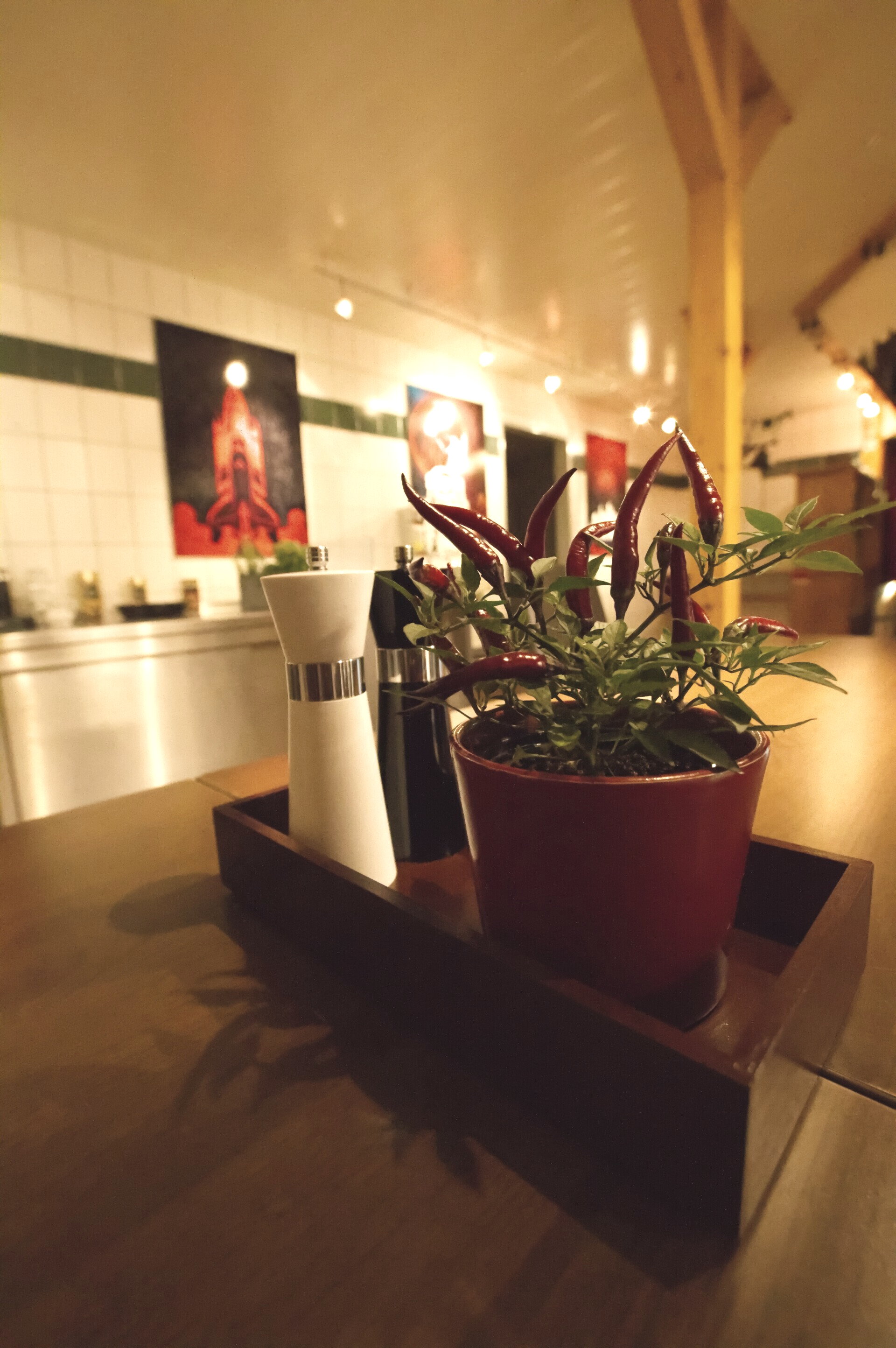 Küchenpflanzen; Gewürze; Küchenzeile; Esstisch