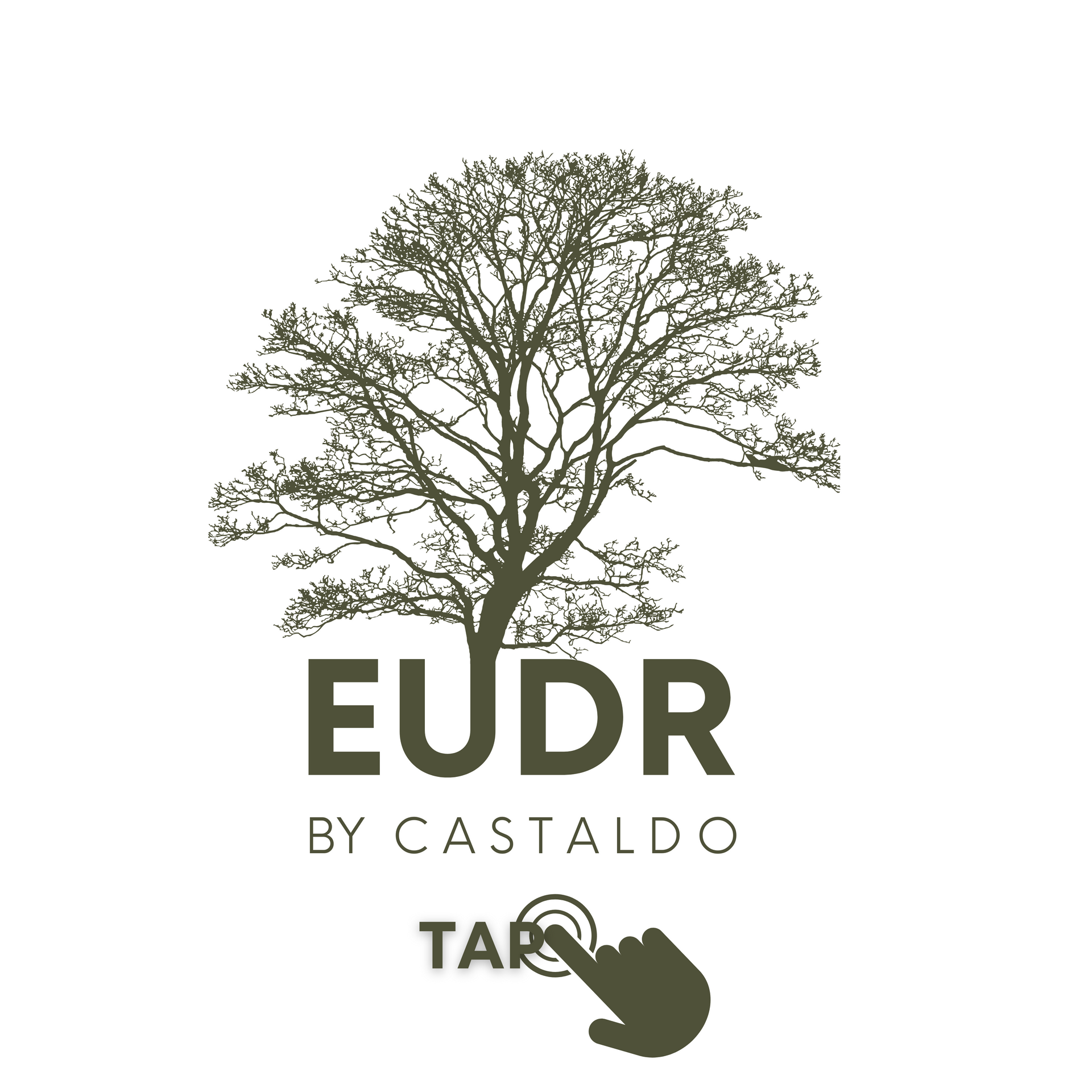 Update 2.0 zur Erstellung der Sorgfaltspflichterklärungen zur EU-Entwaldungsverordnung (EUDR)