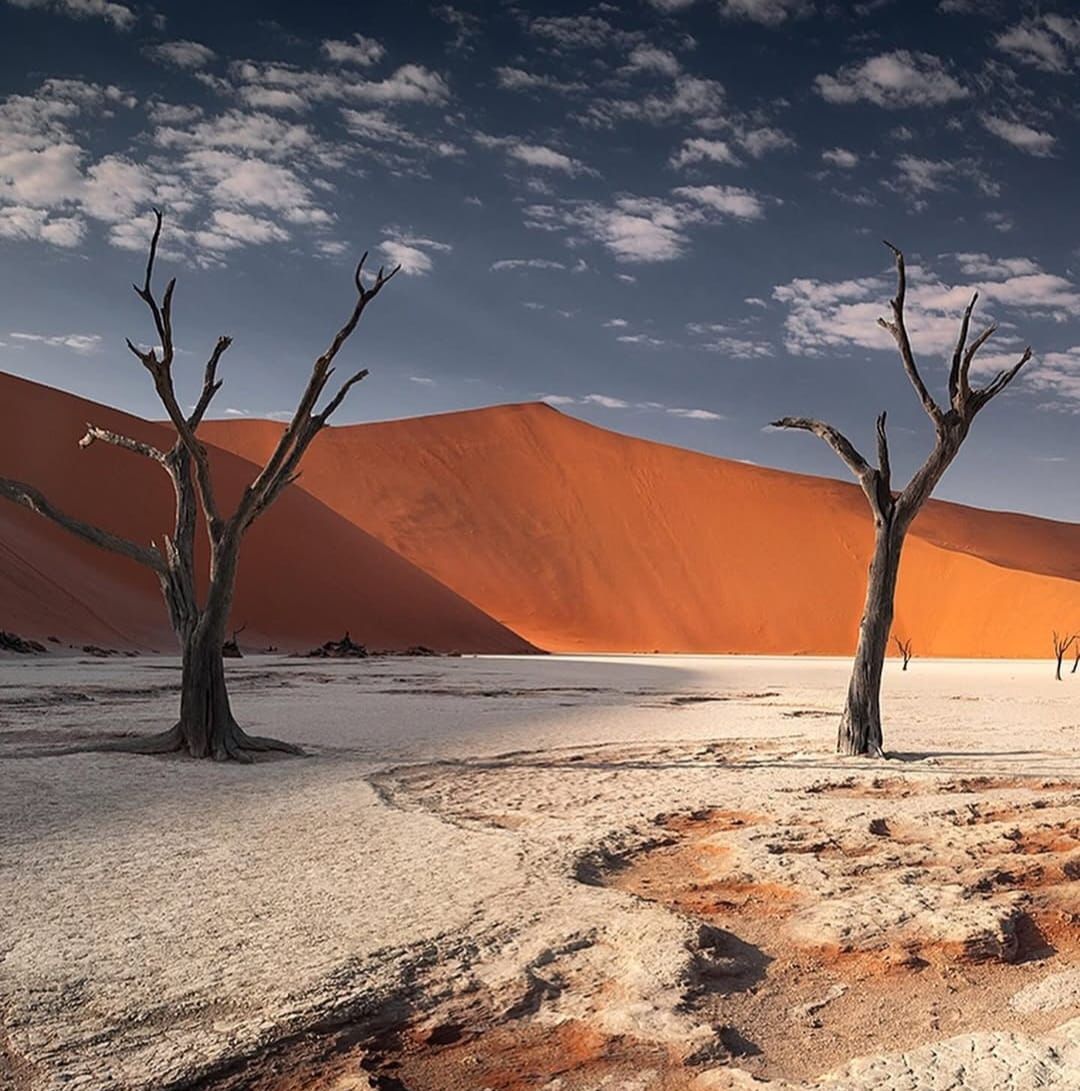 Naamibie Paysage