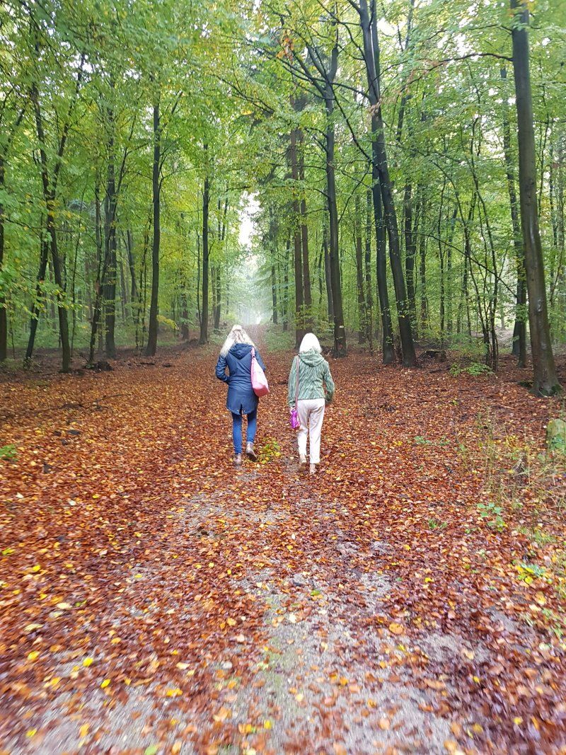 Ferienhaus Ratzeburg Pilzesammeln im Herbst