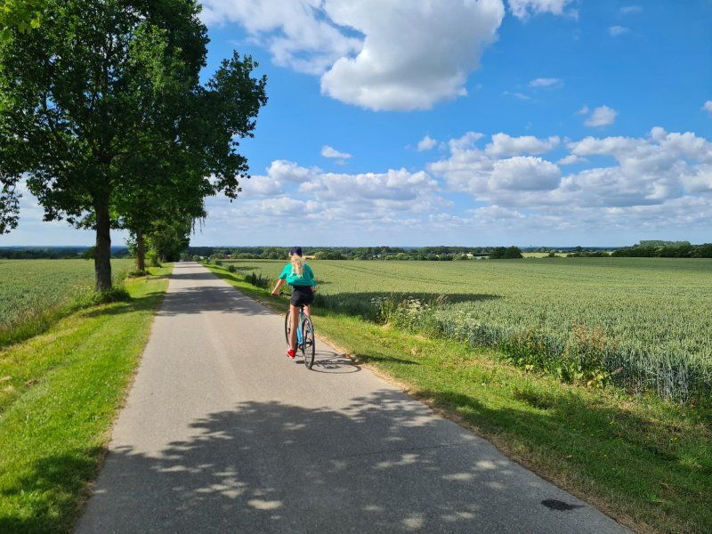 Fahrradfahren im Naturpark Lauenburgische Seen
