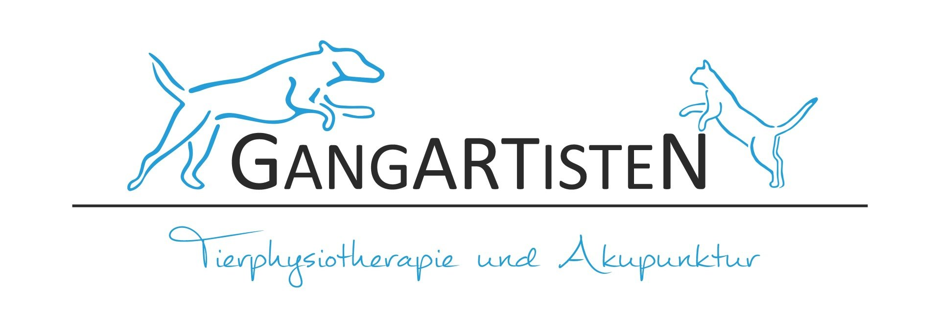 Tierphysiotherapie und Akupunktur Gangartisten Sabine Stratmann Oberhausen Dinslaken