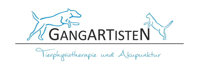 Tierphysiotherapie und Akupunktur Gangartisten Sabine Stratmann Oberhausen Dinslaken