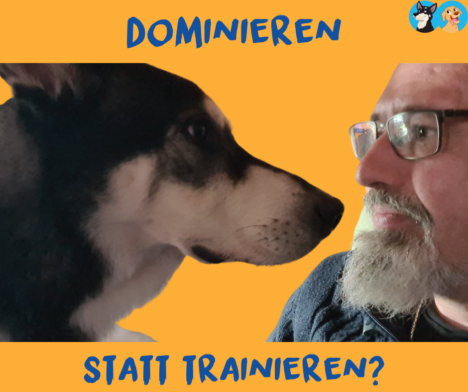 Dominieren statt trainieren?