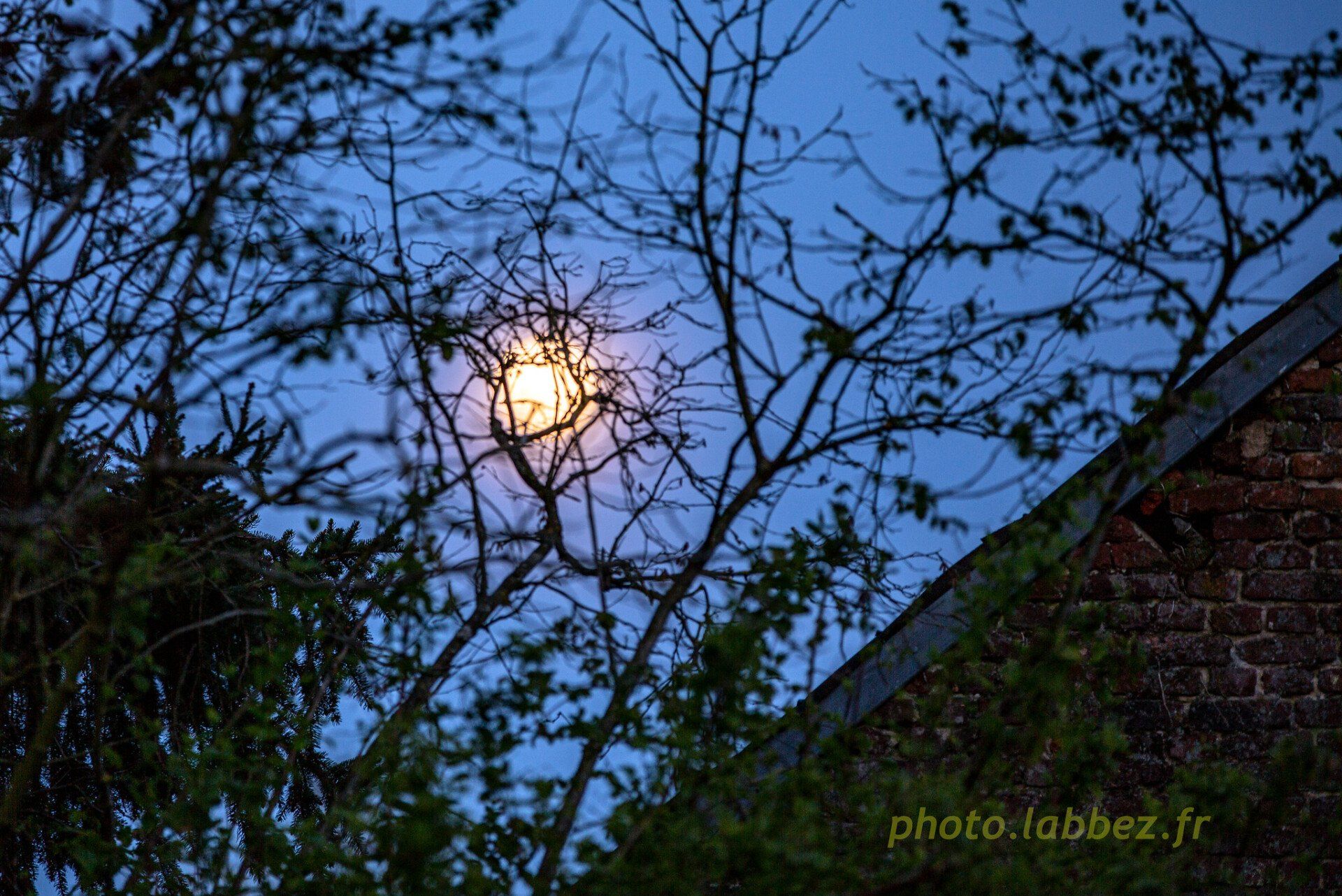La lune