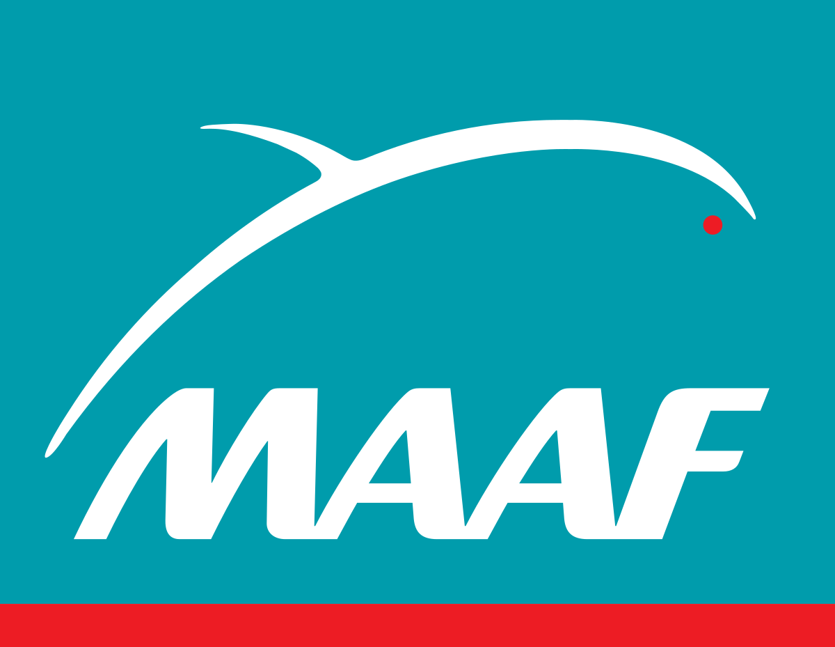 assurance VSP MAAF