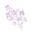 a drawing of a lilac flower