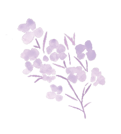 a drawing of a lilac flower