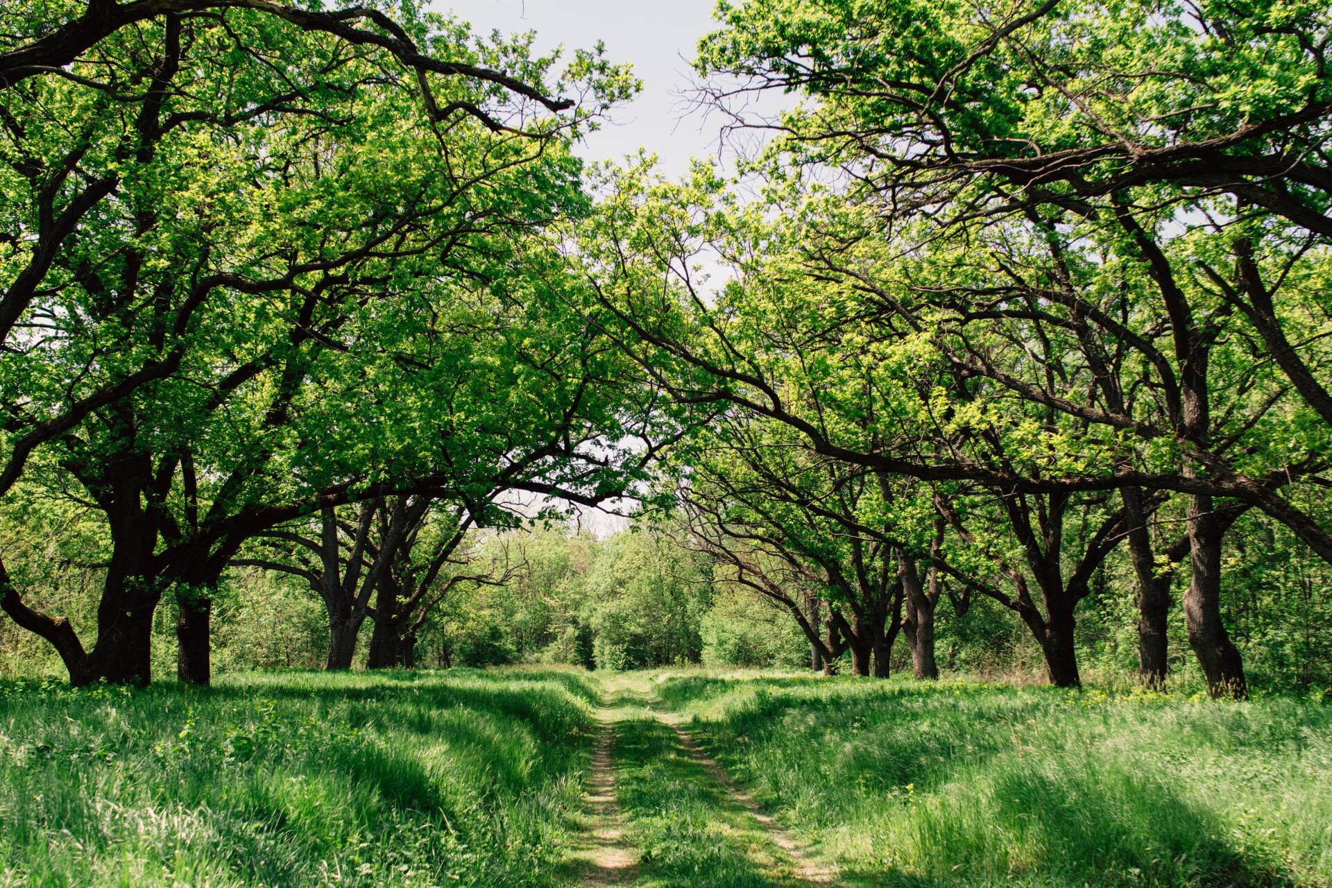 Changing Seasons Counselling - BACP registered counsellor West Yorkshire