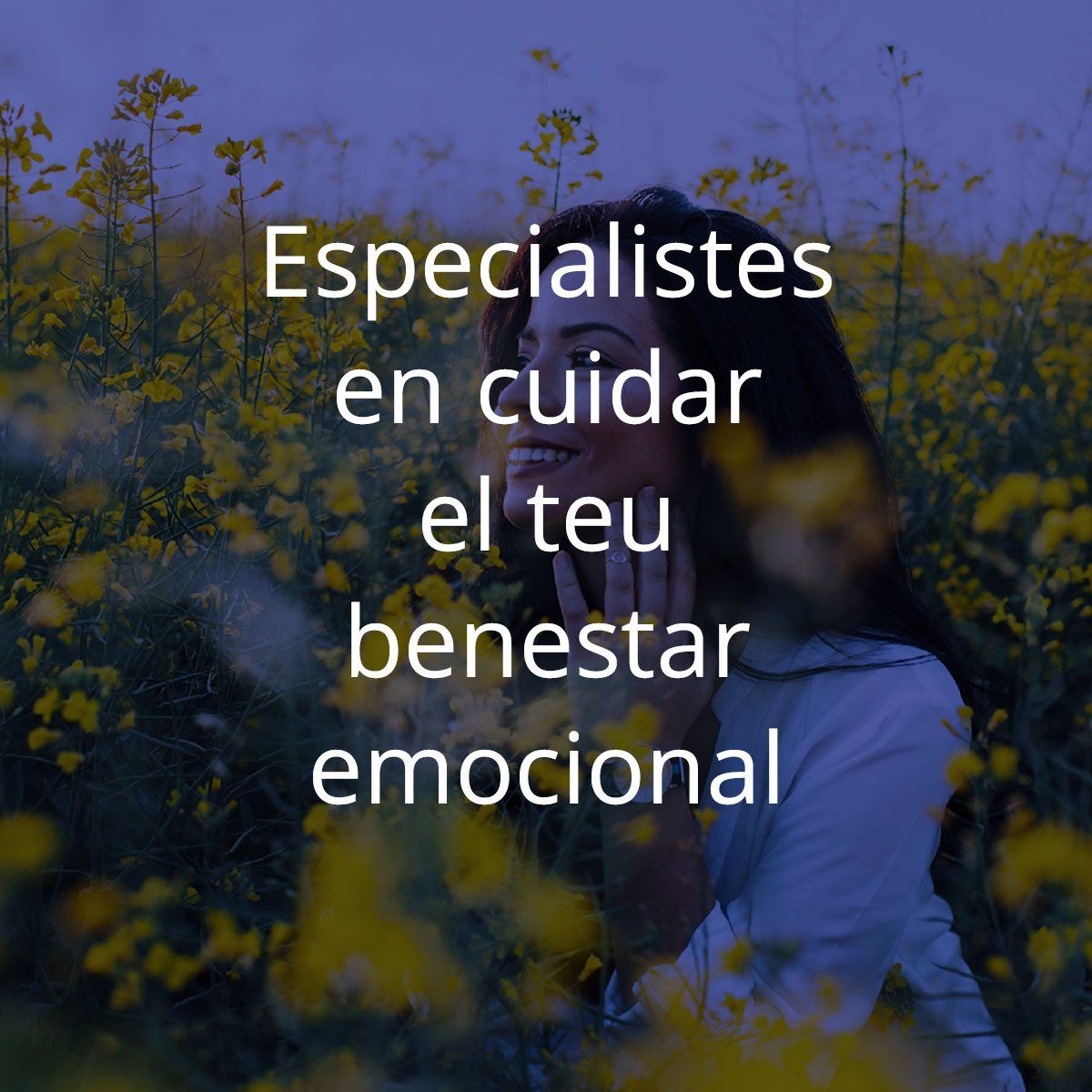 Constelaciones Familiares