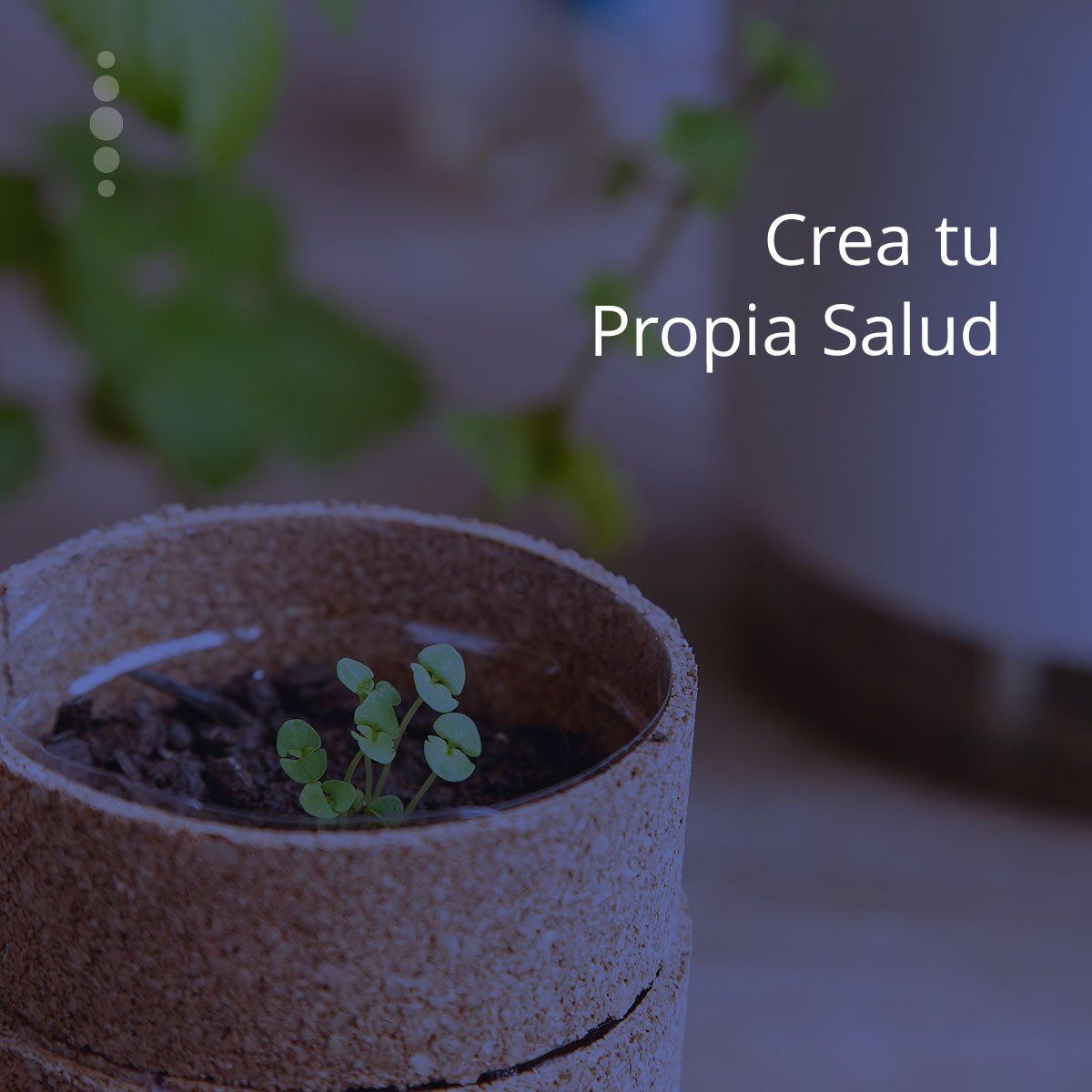 Quiropractica y Psicologia - La Garriga