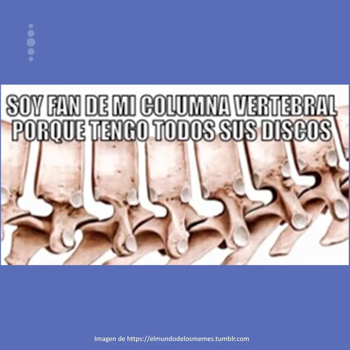 Quiropráctica y Dolor Quiropráctica y Dolor