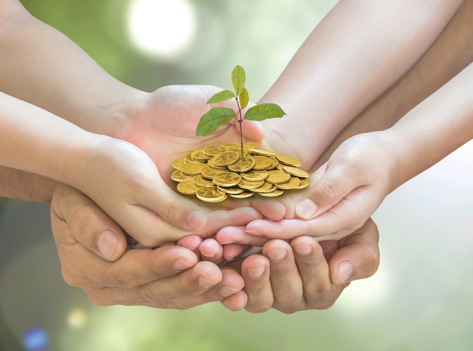 Goldene Münzen, aus denen ein Trieb wächst, in den Händen eines Kindes, gehalten von den Händen der Eltern Goldene Münzen, aus denen ein Trieb wächst, in den Händen eines Kindes, gehalten von den Händen der Eltern