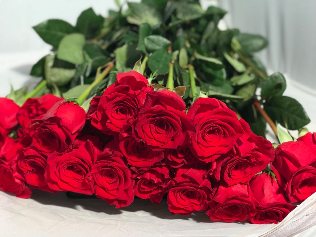 Rosas Rojas producto estrella San Valentín