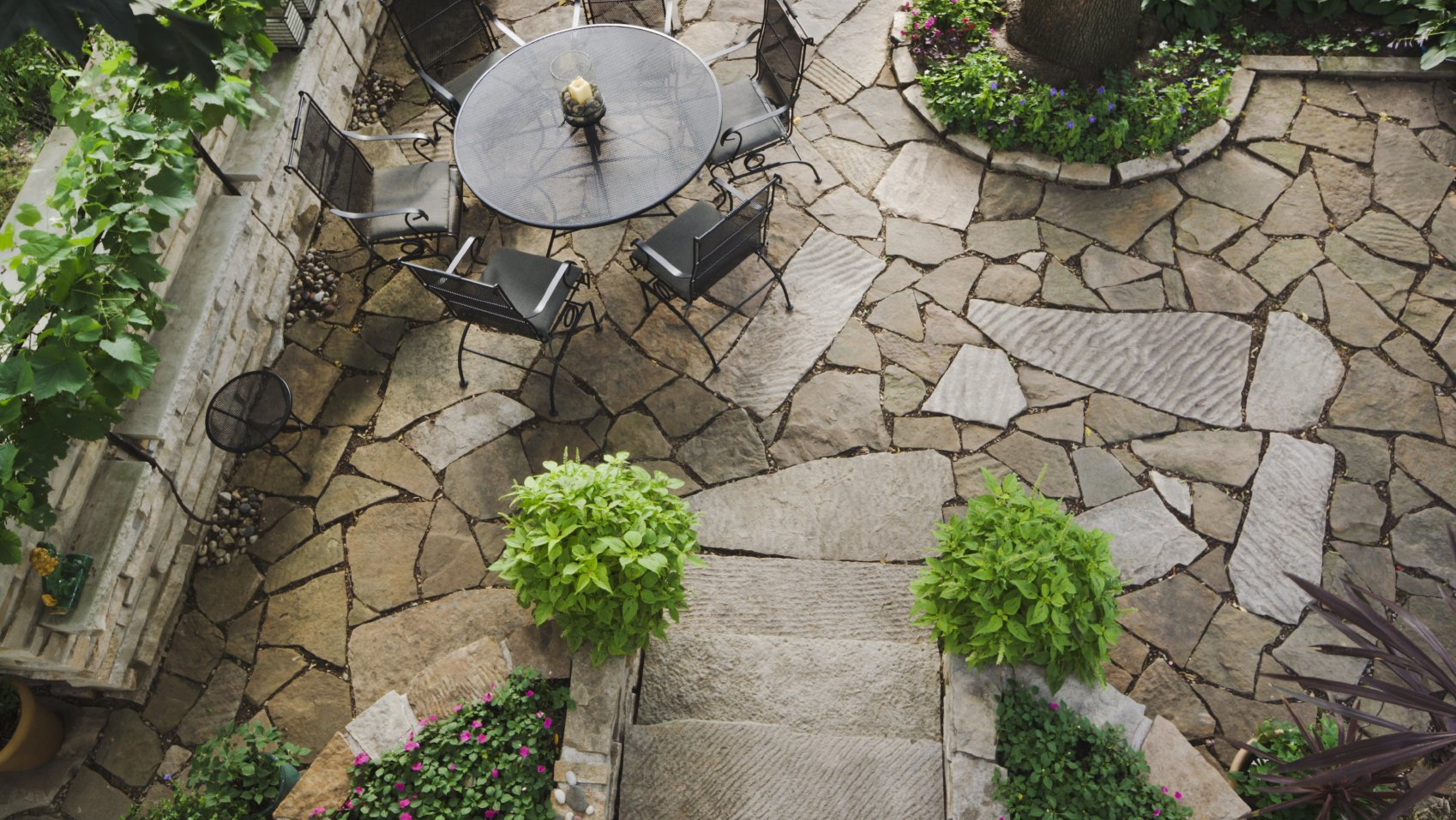 Tree Planting East Lothian, Edinburgh Dunbar, Haddington, Notrh Berwick, Musselburgh