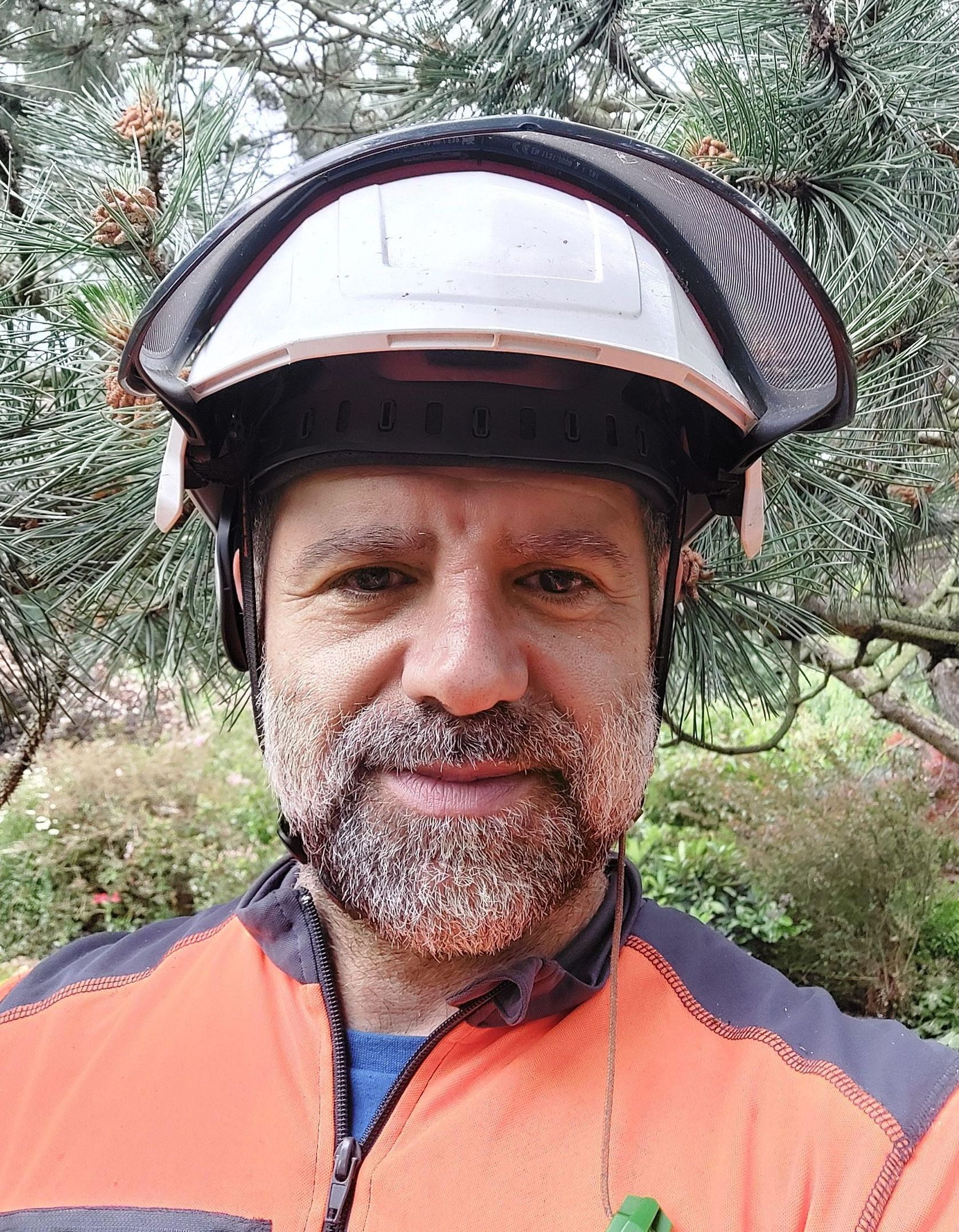 Tree surgeon - Arborist East Lothian