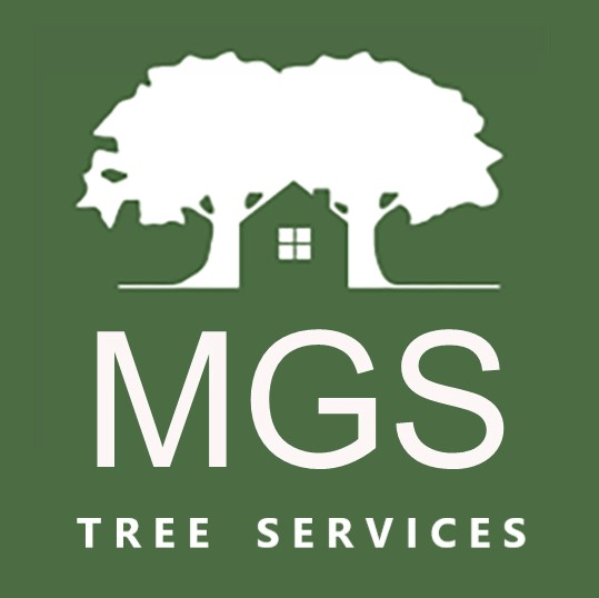 MGS Tree Services - East Lothian