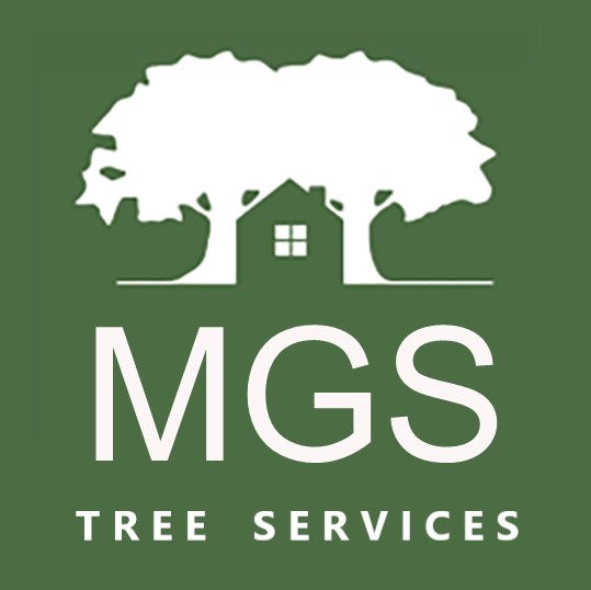 Garden services Edinburgh & East Lothian MGS Tree Services - East Lothian