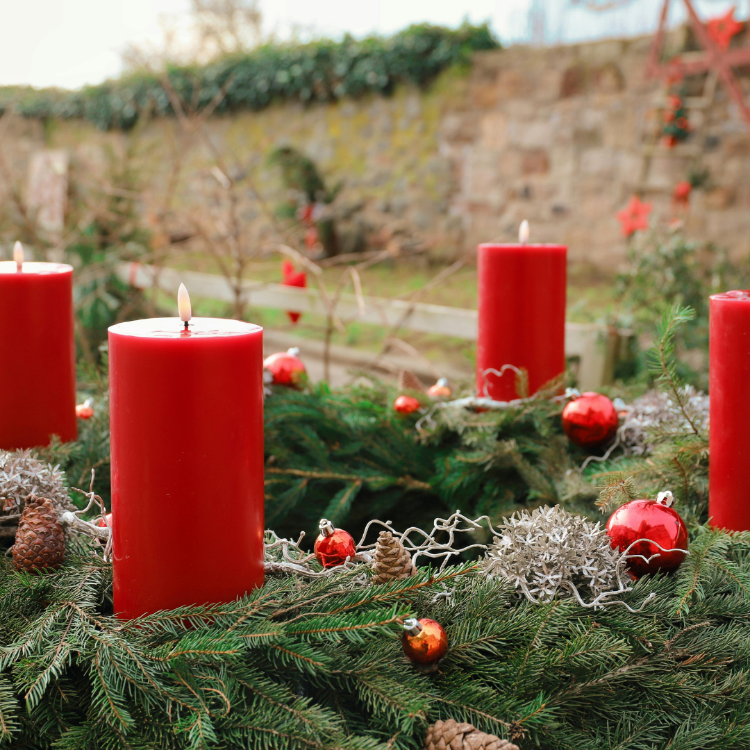 Hund und Katze im Advent – typische Gefahren wie Pflanzen, Kerzen und Deko