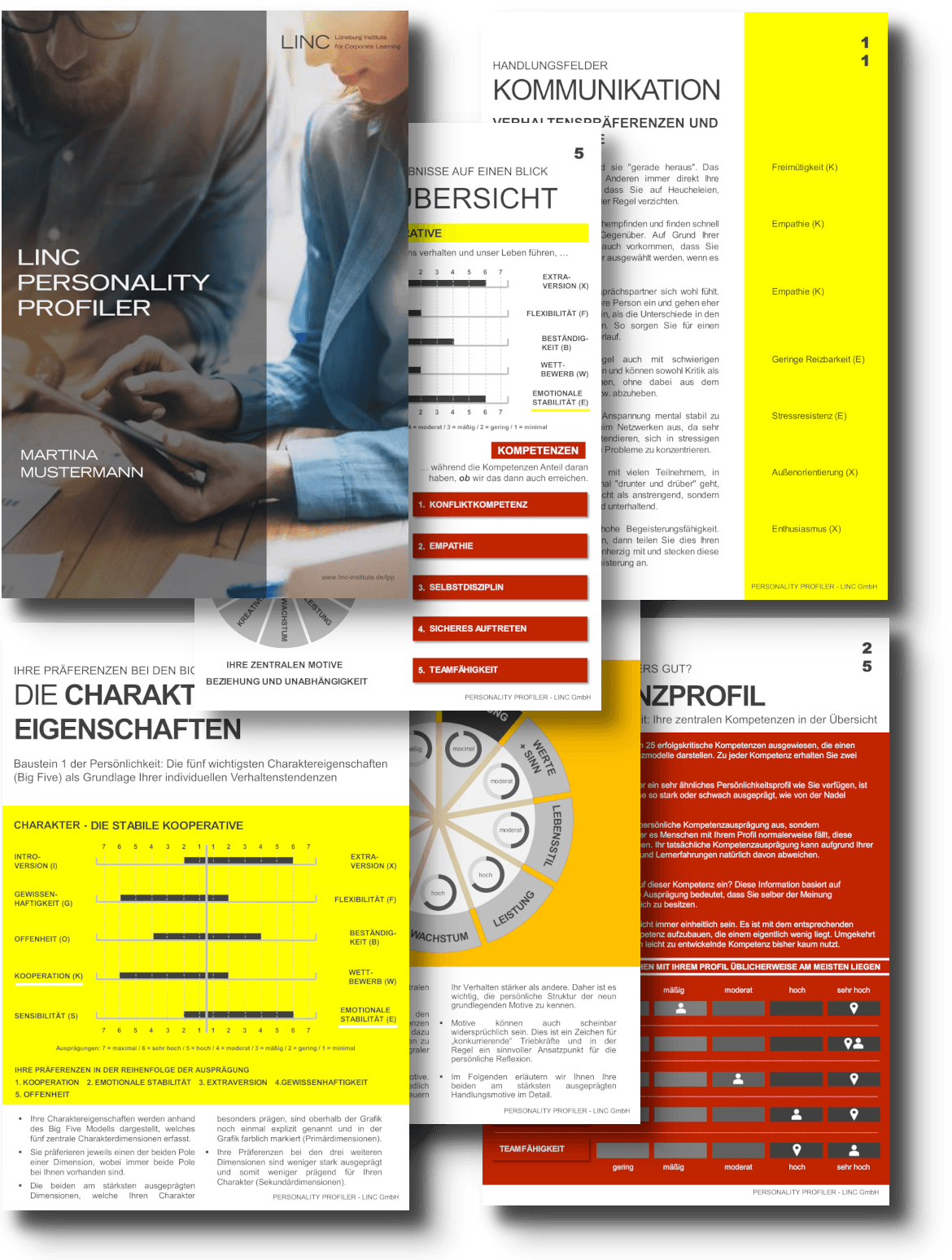 Screenshots vom LINC Personality Profiler