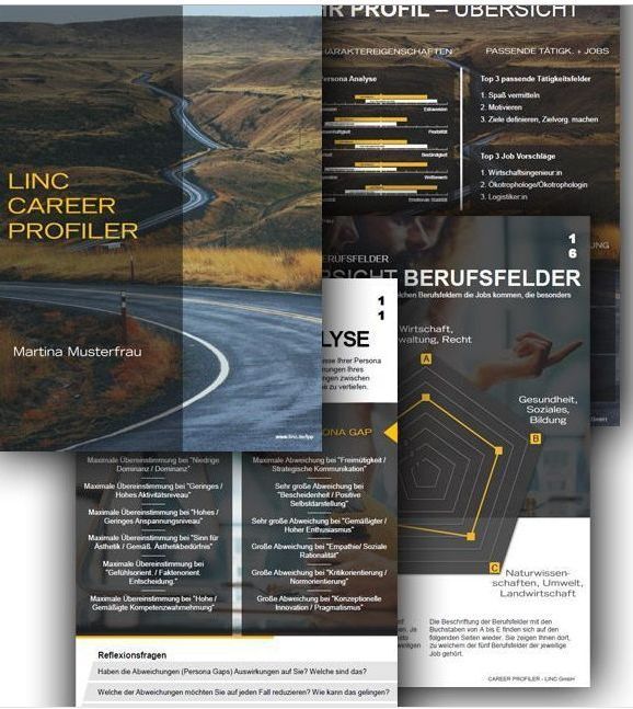 Screenshots vom LINC Career Profiler