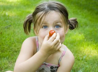 Download Zertifizierung