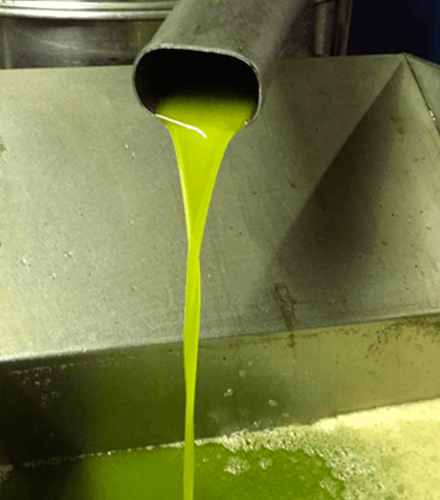 Liquido Oro, reción molido: sabor , aroma, textura, color indescriptible