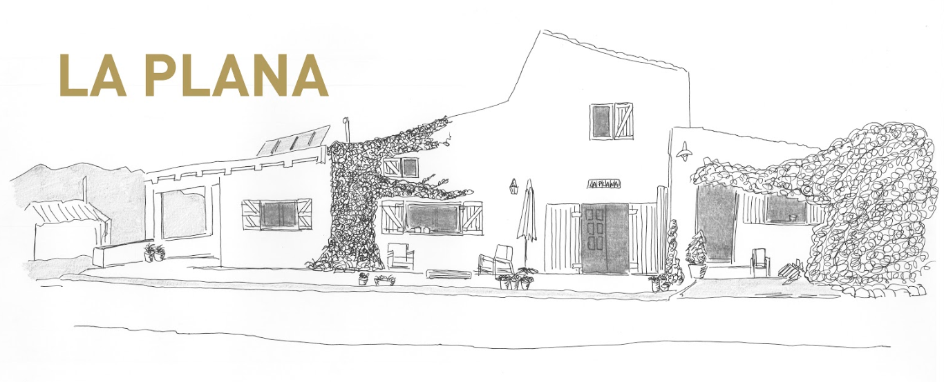 logo casa la plana