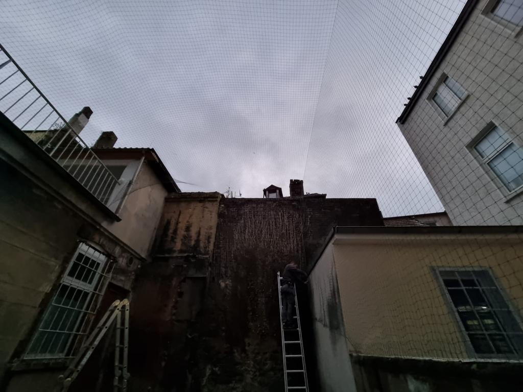 Schädlinge – Schädlingsbekämpfer Dortmund