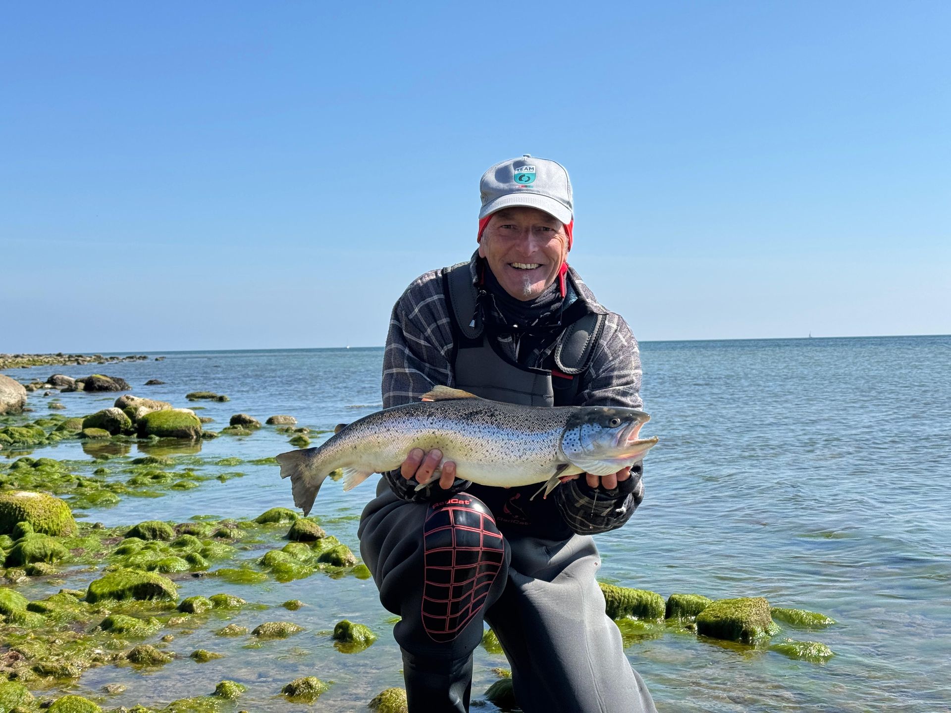Meerforelle auf Fehmarn gefangen, 66 cm lang und silber blank. Gefangen auf Fliege im April.