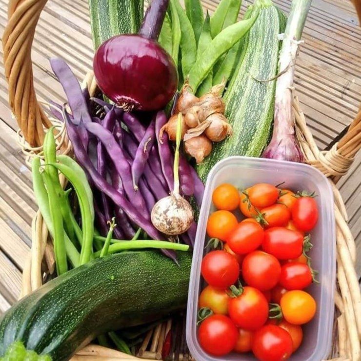 Veggies