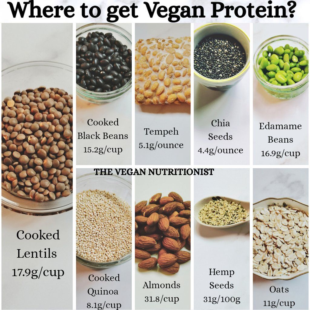 Plant-based protein sources