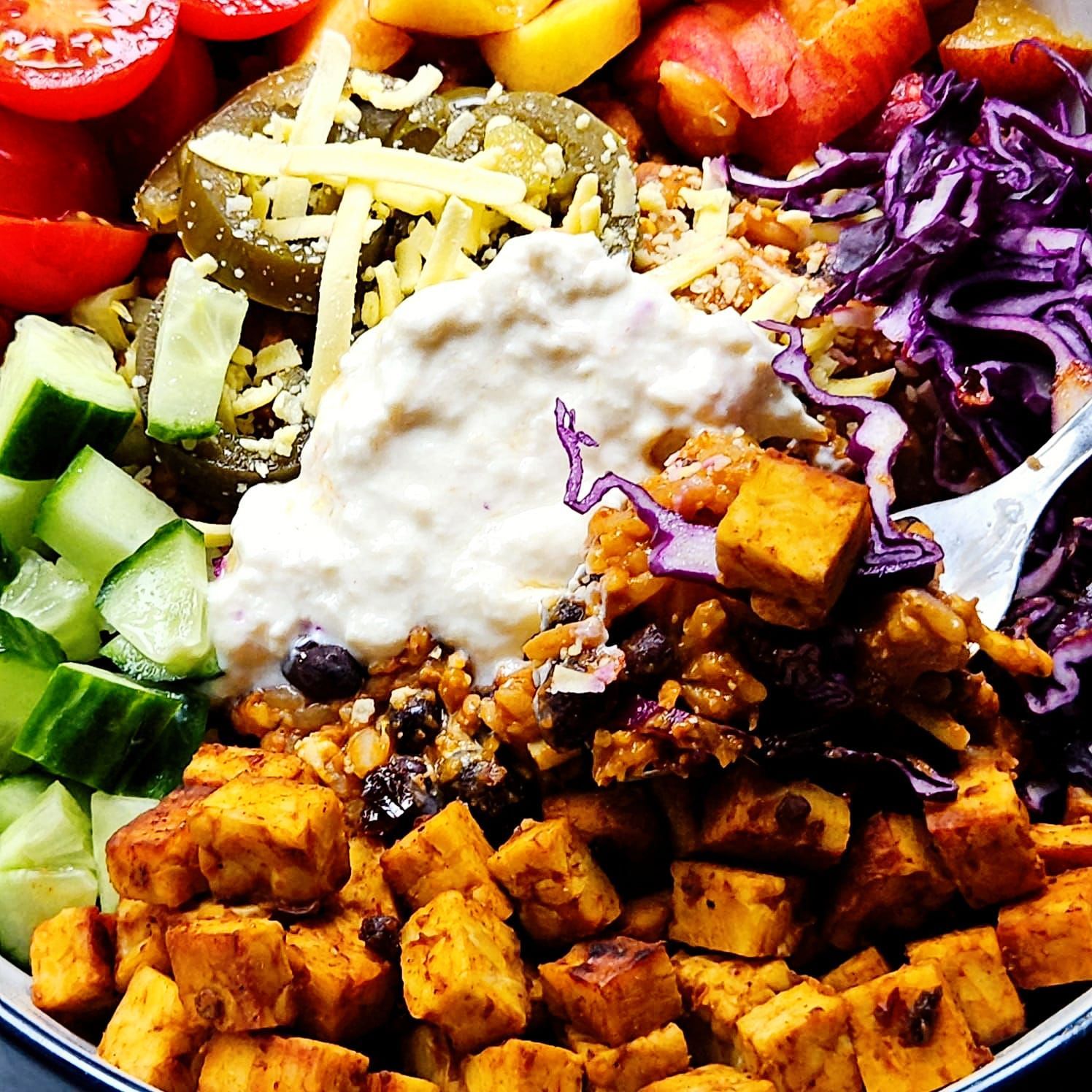 close up chipotle tempeh mexican bowl with jalapenos, vegan cheese, red cabbage, and yogurt.