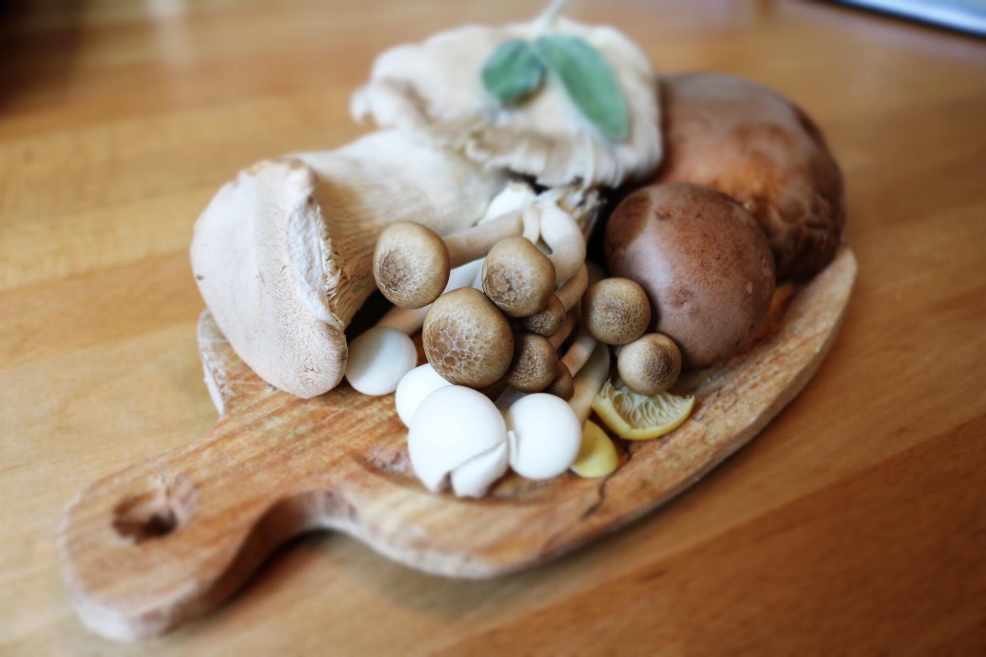 various mushrooms on a chopping board