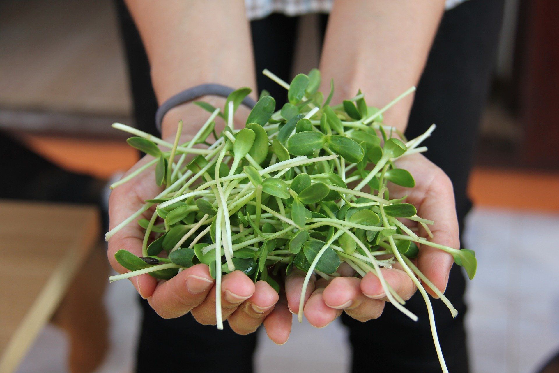 microgreens