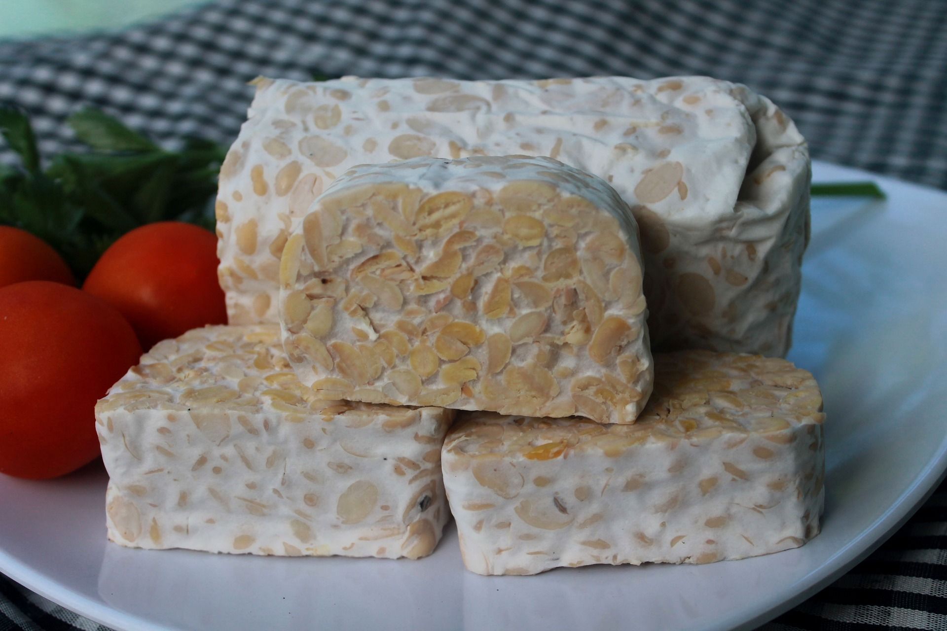 a plate with blocks of fresh tempeh