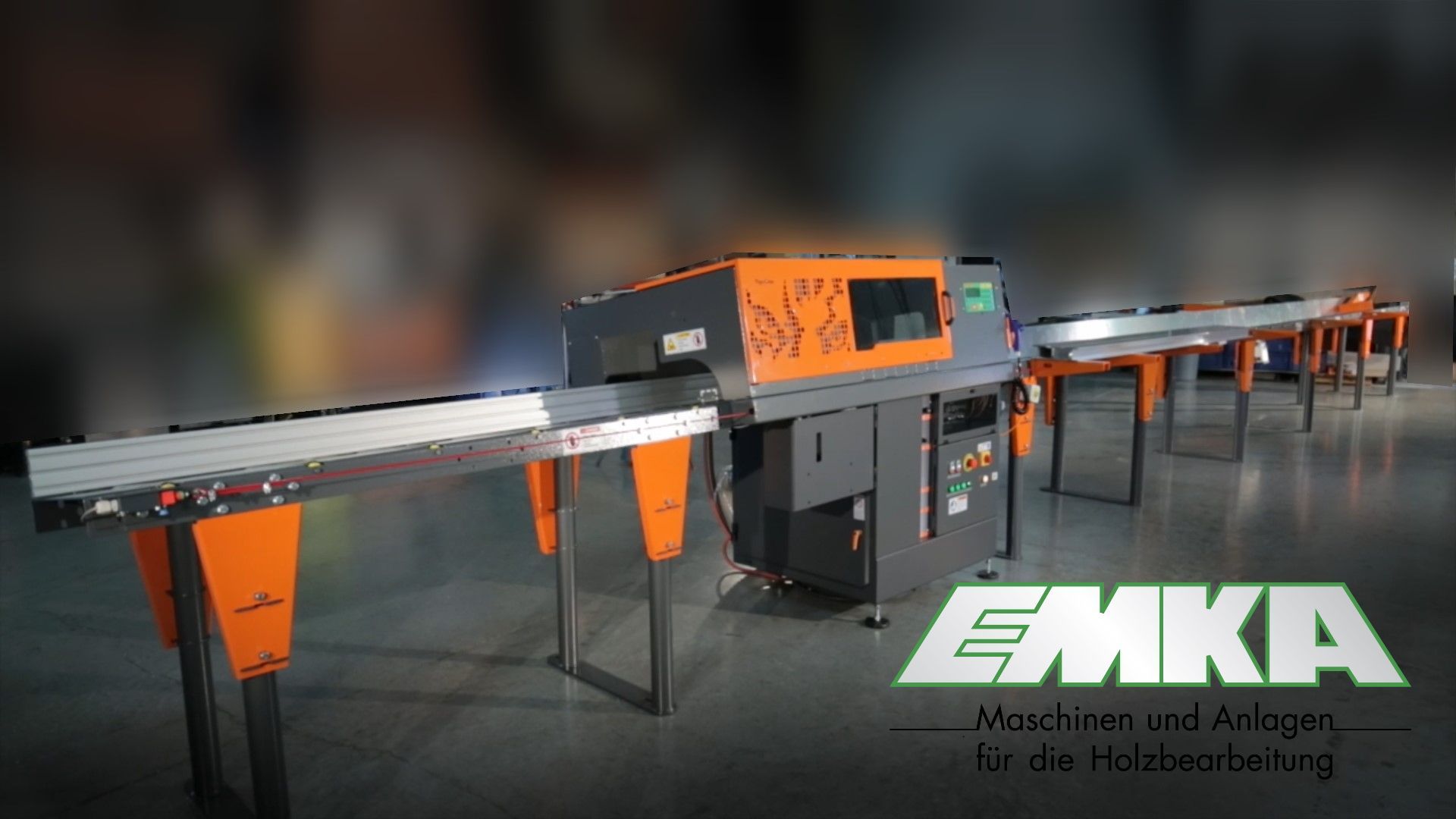 Automatische Kappanlage TigerSaw TS1000