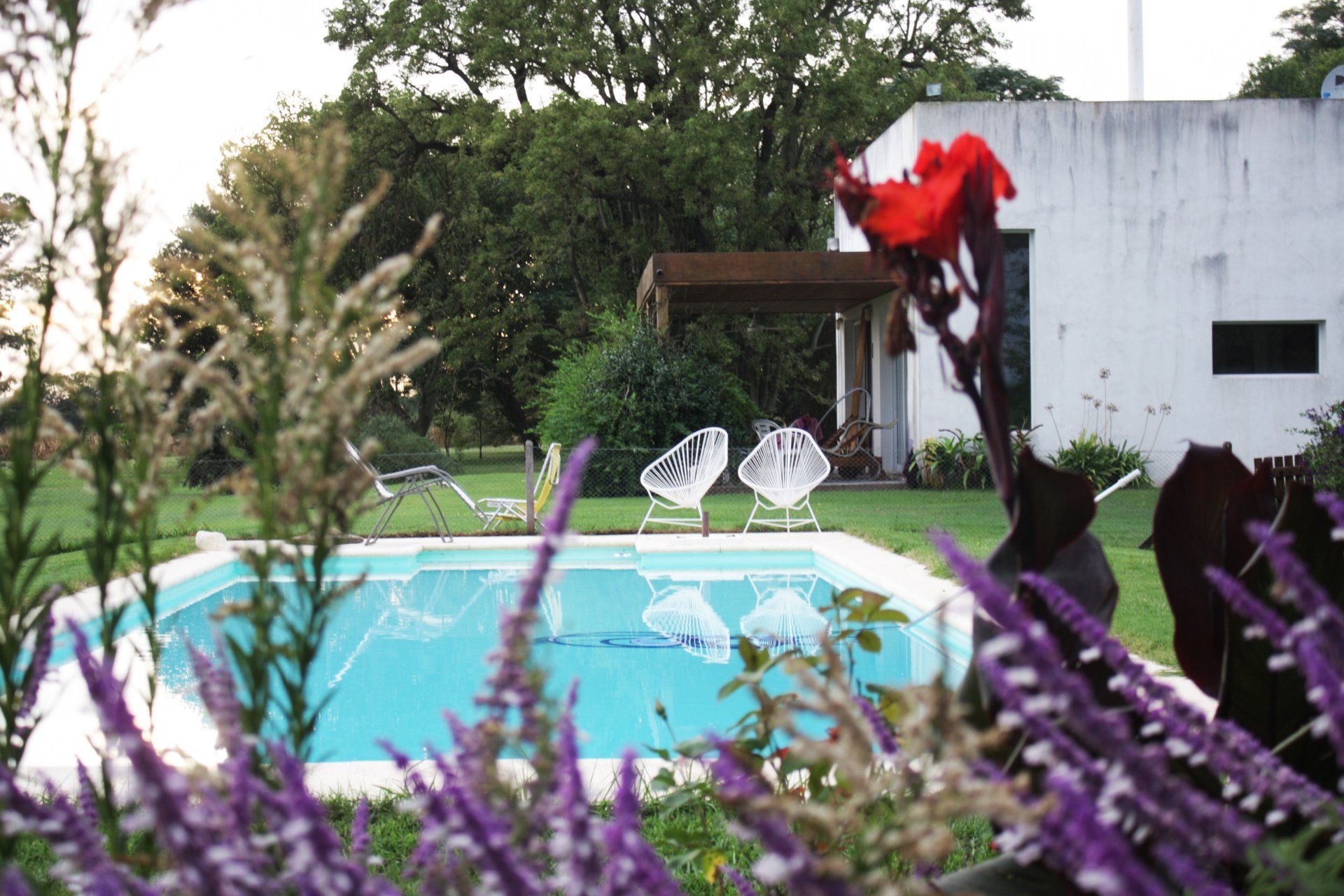 ideas para jardines con piscina ideas para jardines con piscina