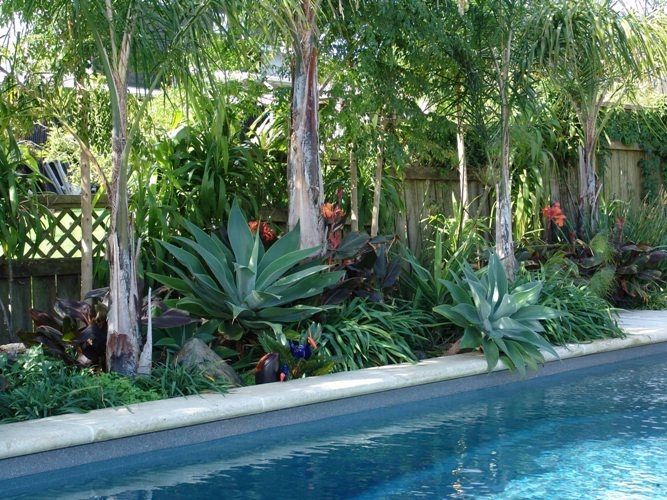 ideas para jardines con piscina ideas para jardines con piscina